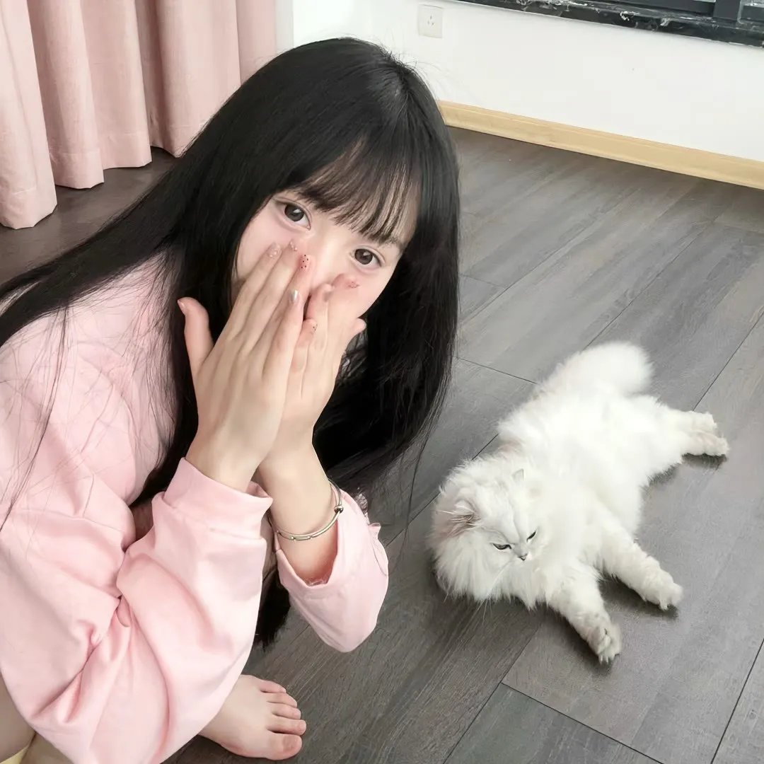 完美的骗子