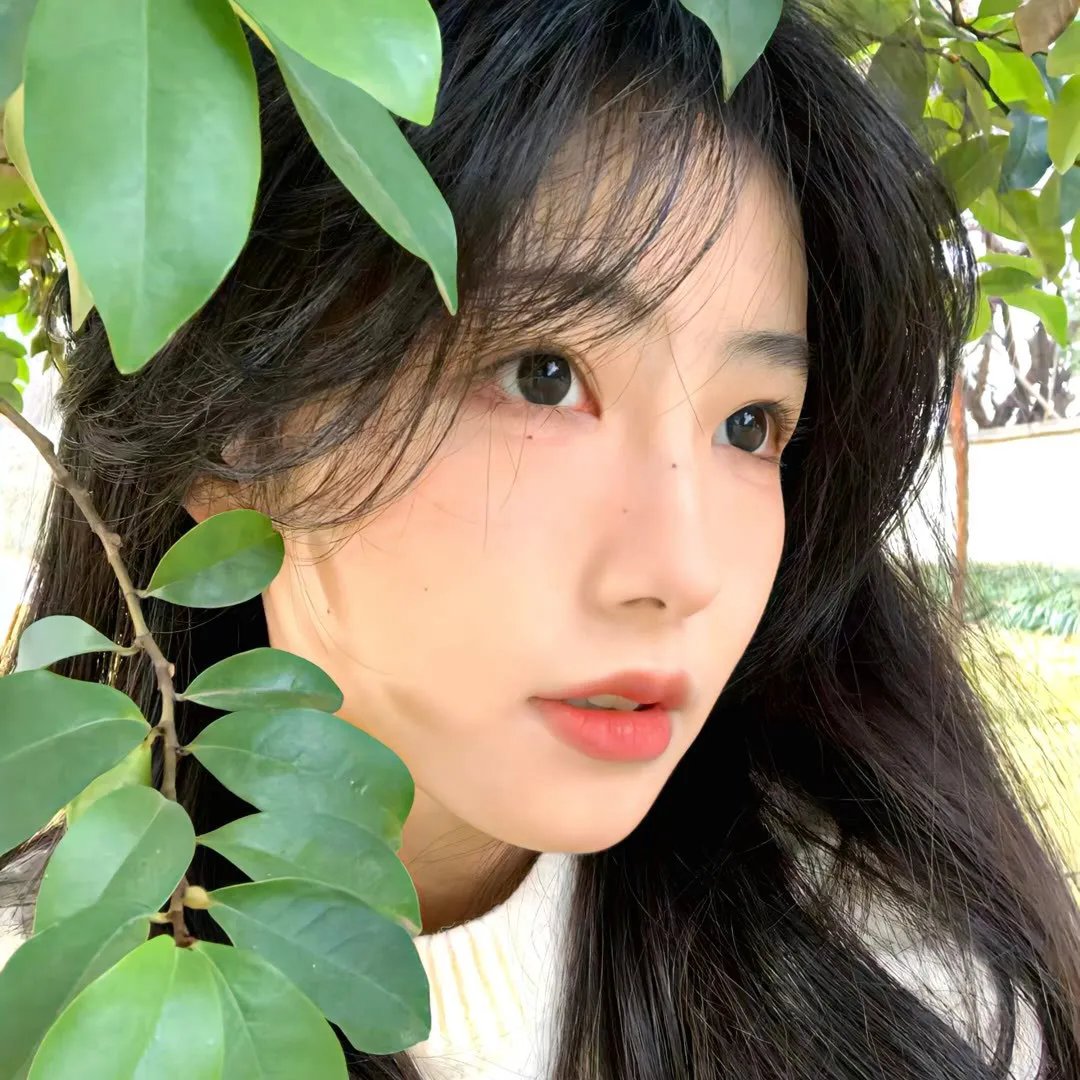 烈血的规条